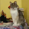 Отзыв от Галя Селиванова